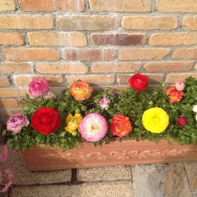 kyo_7016's profile picture. グルメ🍣お酒🍶メイク💄ファッション👚カフェ☕️映画🎬
懸賞始めました😋RT多めです🙏無言フォロー失礼します💦フォロー大歓迎です😄フォロバ💯%
#懸賞好きさんと繋がりたい 
#懸賞垢フォロバ100
#相互フォロー
#相互フォロー支援