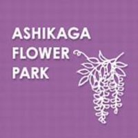 あしかがフラワーパーク【公式】(@ashikaga_flower) 's Twitter Profile Photo