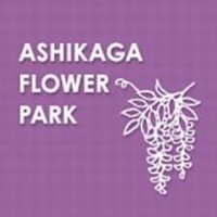 あしかがフラワーパーク【公式】 (@ashikaga_flower) 's Twitter Profile Photo あしかがフラワーパーク【公式】 (@ashikaga_flower) 's Twitter Profile Photo