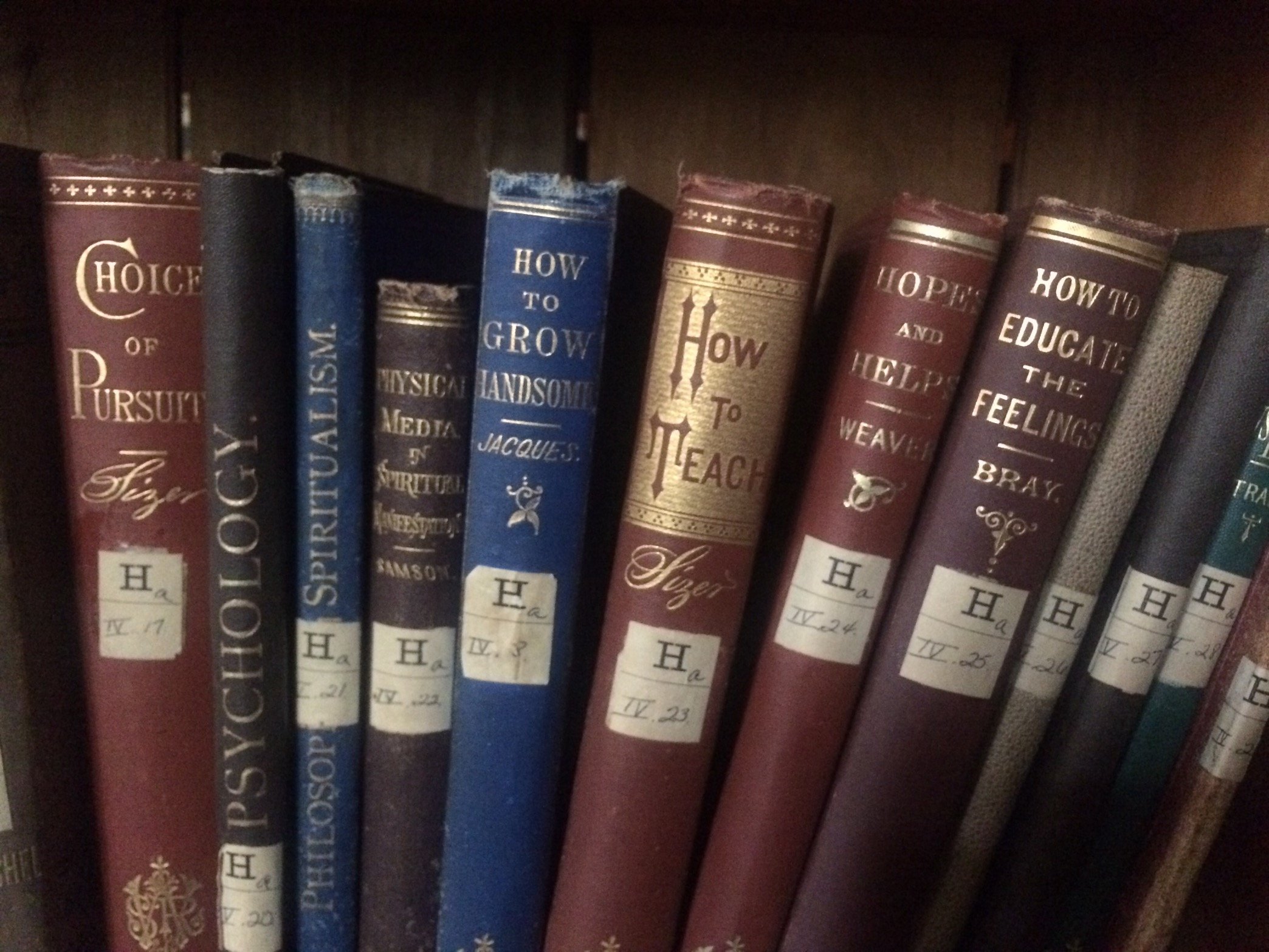 Dmgb75's profile picture. Just a word nerd from the North stuck on the wrong side of the Mason-Dixon.