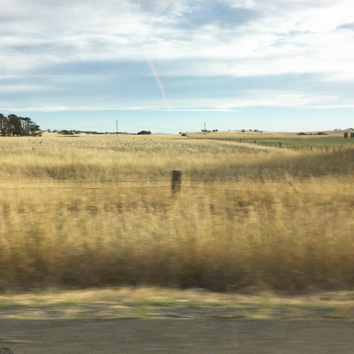 wlkrdnc's profile picture. media, auspol, archives, data. @lcsh_random @BOTootaAdvocate. aussie web content is my bread, butter and vegemite. rt =/= endorse