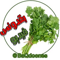 بقدونس فيديو (@baqdoones) Twitter profile photo