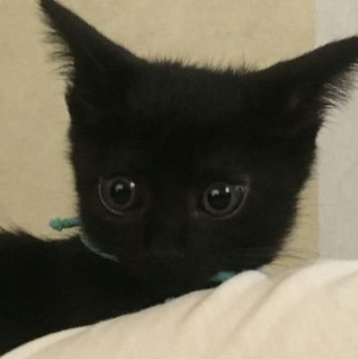 ぅにょんさんのプロフィール画像