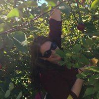 Carole Meehan (@ceej820) 's Twitter Profile