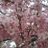 twitter profile