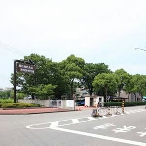 越谷にも、市場があるんです。
一般の人?
来ていいんです。
スーパー?
高いだけ高いだけ。
質!!
値段!!!
まったく違いますこなきゃ分かんないよ!!!
皆さまのお越し、お待ちしております。