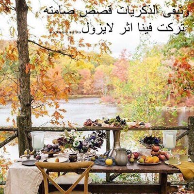 saa242443's profile picture. 