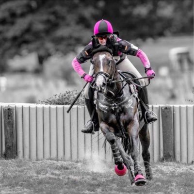 VB Eventing specialise in the Re-Training of Racehorses into eventing super stars