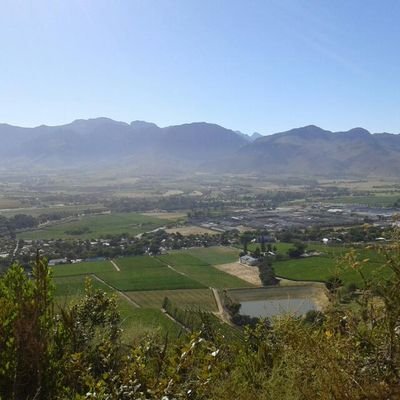 Mokgethwa10's profile picture. 