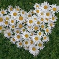 NUH EOLC (@nuheolc) 's Twitter Profile