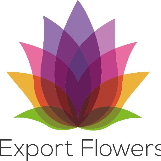 Export Flowers