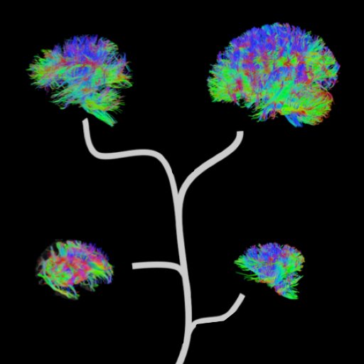 Cognitive Neuroecology Lab at FMRIB Centre (Oxford UK) and Donders Institute (Nijmegen NL) headed by Rogier Mars. Interested in what makes different brains tick