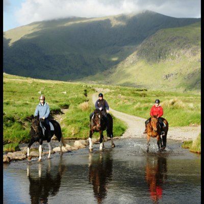 Located on the Dingle Peninsula, we offer lessons/trekking for all levels, livery/training/producing. All with a fantastic view of the mountains & the sea!