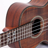 http://t.co/eV1MudhRUl is a site commited to promoting the ukulele with videos, articles and lessons.
