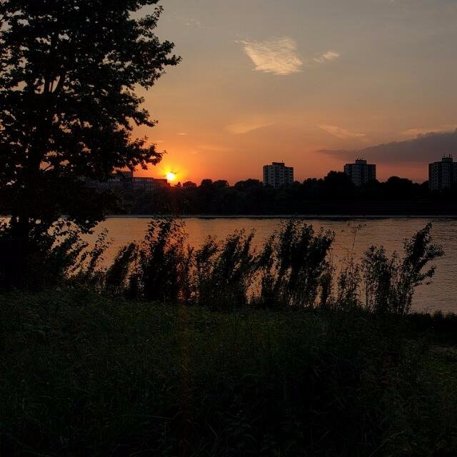 robbe19041's profile picture. 