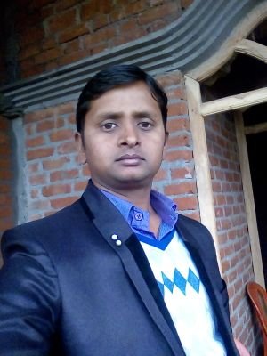 Government and Politics