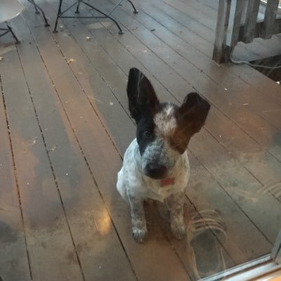 roessler_matt's profile picture. 