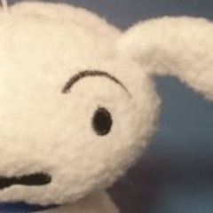 mavetans9803's profile picture. 