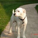 Abby Ream - @shabbyabbyabby - Twitter