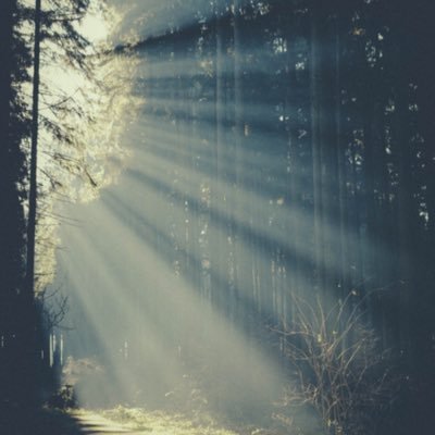 hilton_fern's profile picture. 