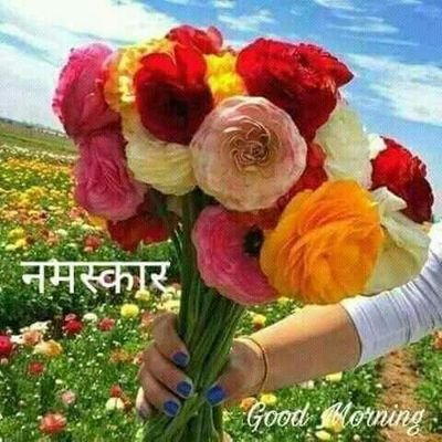 NAVEENS01525906's profile picture. 