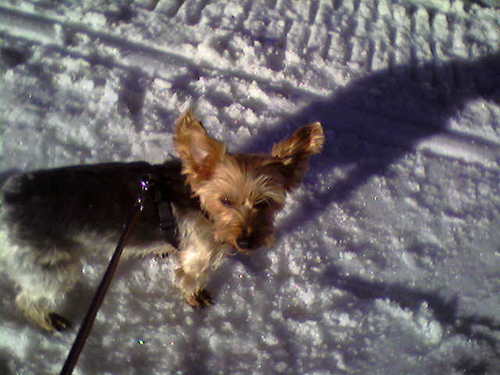 jcnrr's profile picture. 