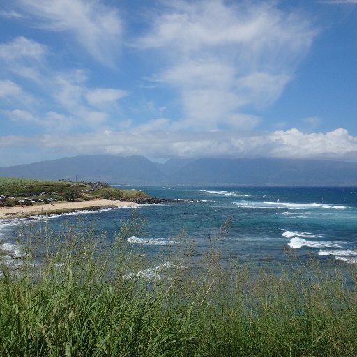 chulsookim2's profile picture. "If a thing is worth doing, it's worth doing badly." - GK Chesterton.  미국 뉴저지 살고있는 40대초반 IT 직장인.