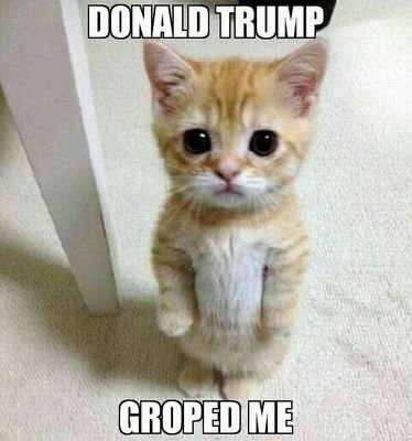 woods34_todd's profile picture. American to the core... life liberty happiness... protect and defend the constitution -it's pretty simple. Oh yeah 2A IS THE WAY!!!!