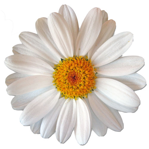 If you don't like something change it; if you can't change it, change the way you think about it. ~Mary Engelbreit
