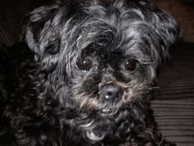 frozenart1965's profile picture. 