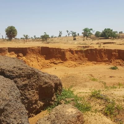 2f0cace30ef546e's profile picture. juriste, consultante internationale,#art, # haïku,  #litterature, #architecture, #rugby, # francophonie # droits de l'homme#martinique