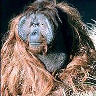 kenallen1971's profile picture. my nickname is hairy Houdini. fuck Otis #freekenallen