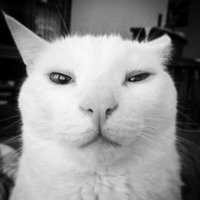 Baldini (@baldini) 's Twitter Profile
