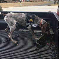 K9 Dexter (@thedexterlife) 's Twitter Profile