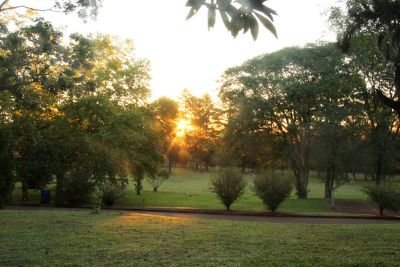 jorjosabi's profile picture. Ser amado por JESÚS