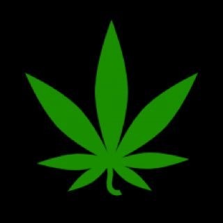 AshintheKusher's profile picture. 🍁 Best weed tweets in the Southeast 🇺🇸 #AshthatKush #LegalizeIt