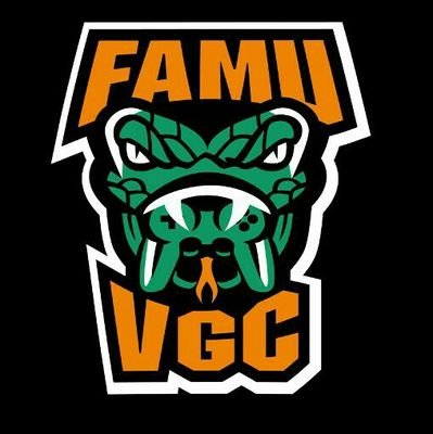 The #FAMU Video Game Club is designed for everything video games. We aim to conserve the essence of the video game culture🐍