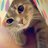 nyan_nyan357's profile image