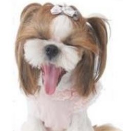 Check Out The Latest Doggie Fashions! Puppy Love Couture, Unique,Sassy Designer Dog Clothes! http://t.co/LuZgejCn