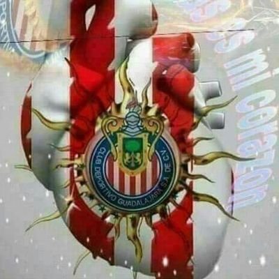 Noticias Noticiero México Fútbol Futbol Internacional Artistas Música Memes Diversión Espectaculos