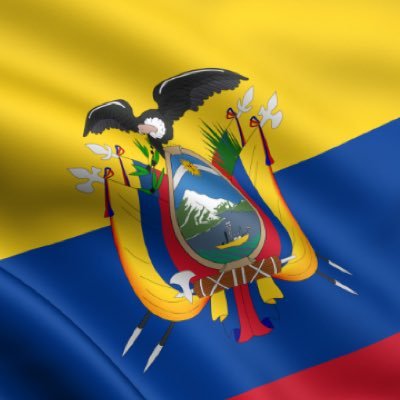 danielpatinon's profile picture. 