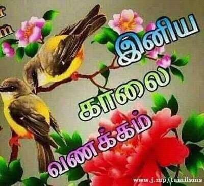 suganyass949's profile picture. o