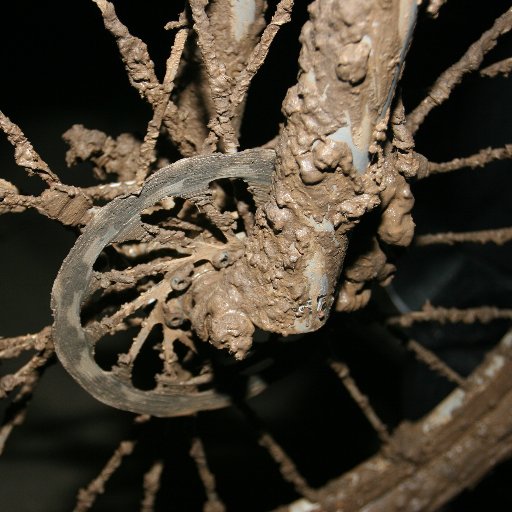 l_roy's profile picture. Occasional bicycle wrench