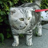 Liuson (@sl030780) 's Twitter Profile Photo Liuson (@sl030780) 's Twitter Profile Photo