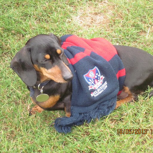 Supporter group in WA for the Melbourne Demons Football Club