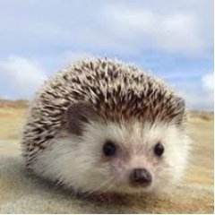 『初めまして!お金に困っている方にむけて、元手をかけずに1時間で現金で5万円を作る 住宅ワーク公開しております。 是非一度試してみてくださいね!!
https://t.co/AHuoWnAKsa』
