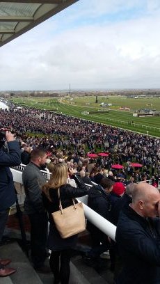 steveboom26's profile picture. Sports Football Horse Racing. COYS