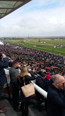 Sports Football Horse Racing. COYS