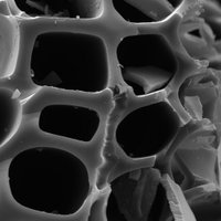 AgriChar (@agrichar_rg) 's Twitter Profile Photo