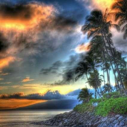 m27boob911's profile picture. 